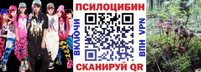 Псилоцибиновые грибы ЛСД  купить закладку  Шебекино 